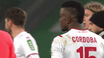 Happy Jhon Cordoba GIF by 1. FC Köln
