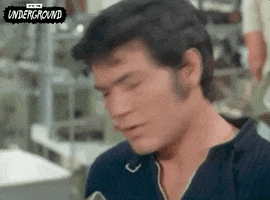 Cult Classic GIF by Turner Classic Movies