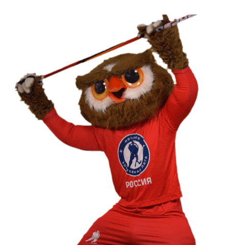 Celebrating Sticker by nhliga