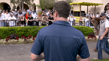 I Am Horse Racing GIF