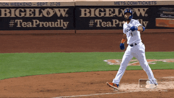 Home Run Sport GIF by New York Mets