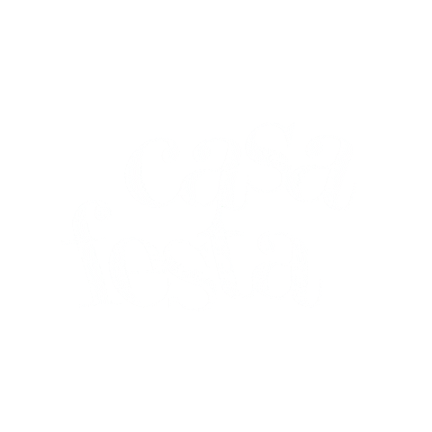 Casa Festa Sticker