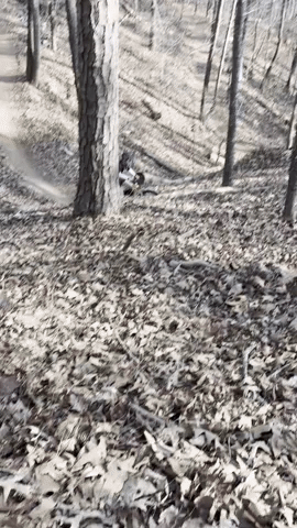 Bike GIF