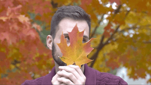 Autumn GIFs - Get the best GIF on GIPHY