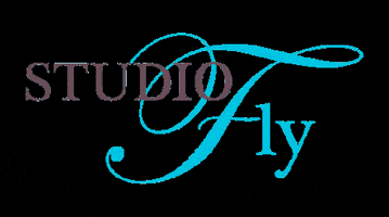 STUDIOFLY GIF