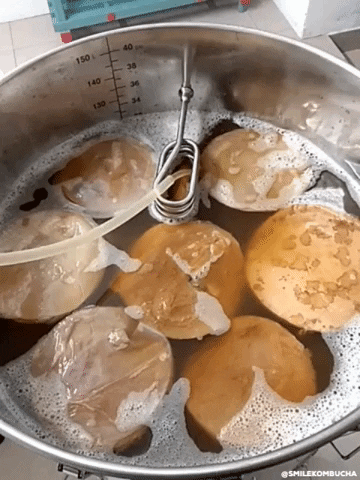 Smile Kombucha GIF