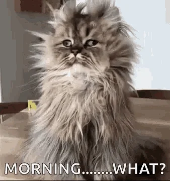 good morning GIF