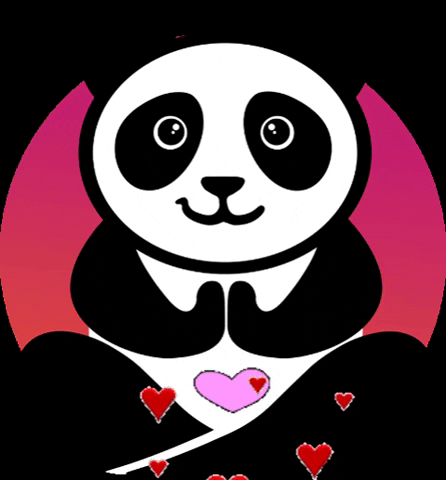 Panda Media GIF