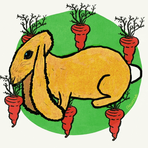 Ayisha Cottontail GIFs - Get the best GIF on GIPHY