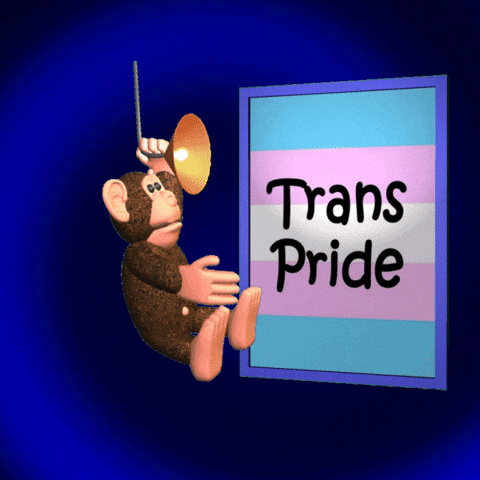 Lgbt Trans GIF