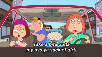 Driving Family Guy GIF by FOX TV