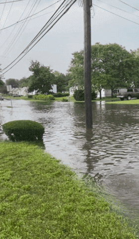 giphy.gif?cid=6c09b952koxhc6l47f5swzh3ji