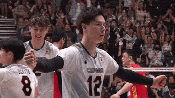 Happy Team GIF by Volleyball World