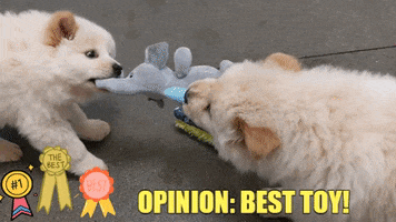 The Best Puppy GIF by Peninsula Humane Society & SPCA