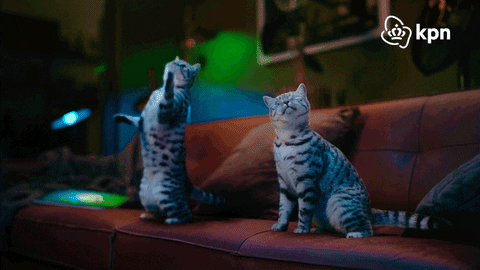 Pohyblivá animace se dvěma tancujícími kočičkami na gauči. 