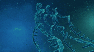 Rna GIF