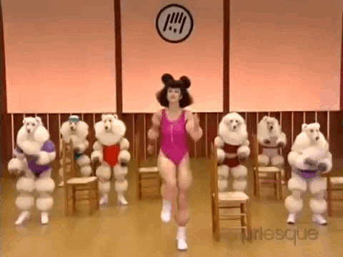 Workout Poodle GIF - Find & Share on GIPHY