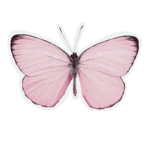 Rainbow Sticker