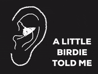 Tell Me Bird GIF by Barbara Pozzi Tell Me Bird GIF by Barbara Pozzi