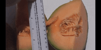 Education Squeeze GIF by DIIMSA Stock