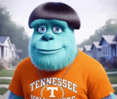 Tennessee Volunteers GIF