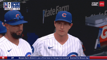 Chicago Cubs Baseball GIF