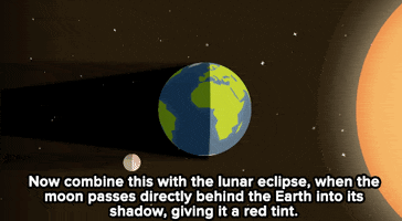 Lunar Eclipse Space GIF by Mic