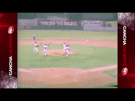 Baseball GIF