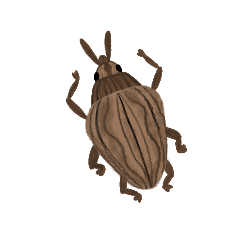 UF/IFAS Center for Aquatic and Invasive Plants Sticker