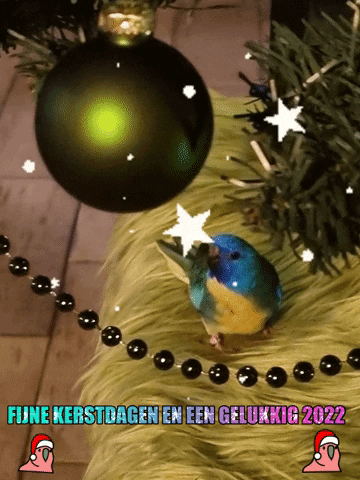 Feestdagen GIF