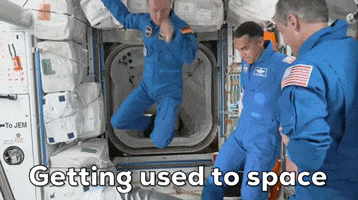 200.gif?cid=fc005b083c28a81dfa12d3800fadae45847e4412ca6f1c58&rid=200.gif&ct=g