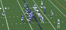 Nfl GIF