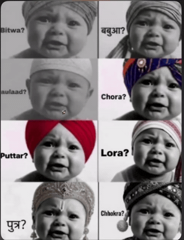 Son Beta GIF