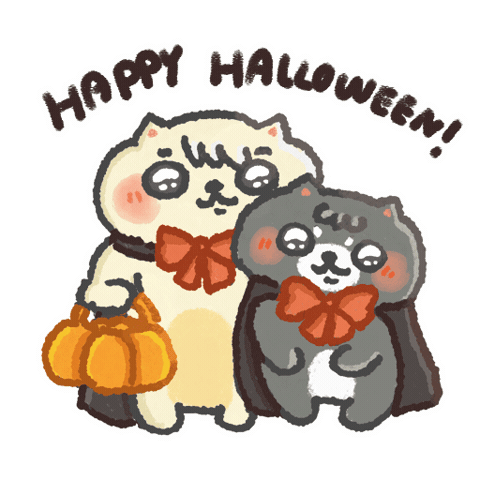 Trick Or Treat Cat Sticker