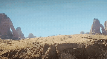 Ball Crowd GIF