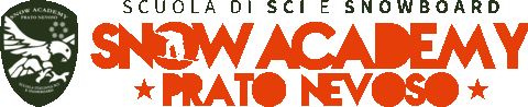 Ski School Sticker by Snow Academy