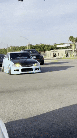 Stance Lexus GIF by outofluck_club