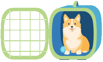 Travel Pet Sticker by Alaska Airlines