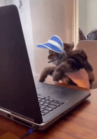 Animated GIF