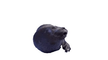 Cry Seal Sticker