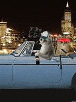 the wire car GIF by Scorpion Dagger