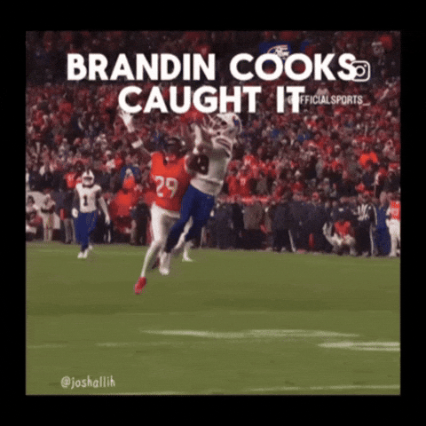 Super Bowl Bills GIF