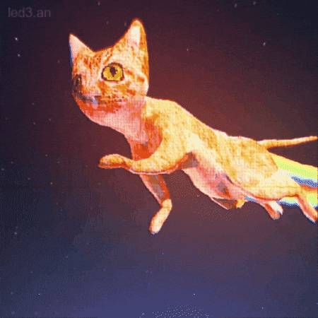 Cat GIF