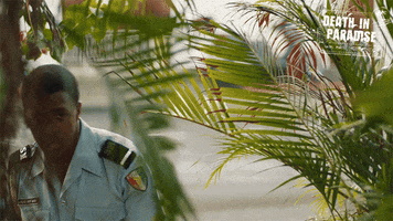 Hiding GIF by Death In Paradise