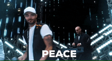 Peace Vr GIF by XIID
