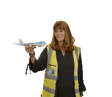 Flying Royal Dutch Airlines Sticker by KLM