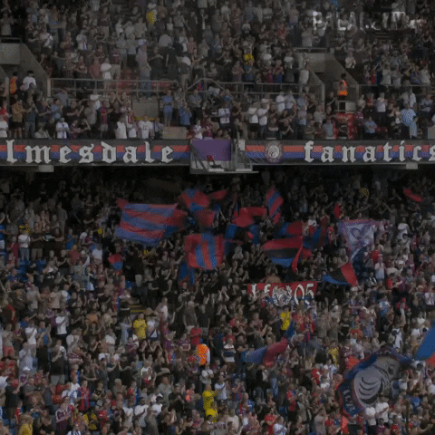 Sing Premier League GIF by Crystal Palace Football Club