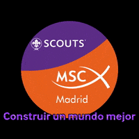 Scout Sdm GIF by scoutsdemadrid