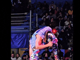 Lucha Libre Celebration GIF