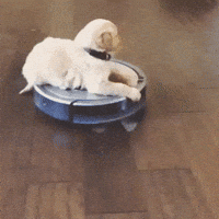 Robot Vacuum Cleaner GIFs - Get the best GIF on GIPHY